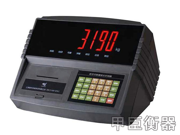 A9帶打印汽車衡儀表