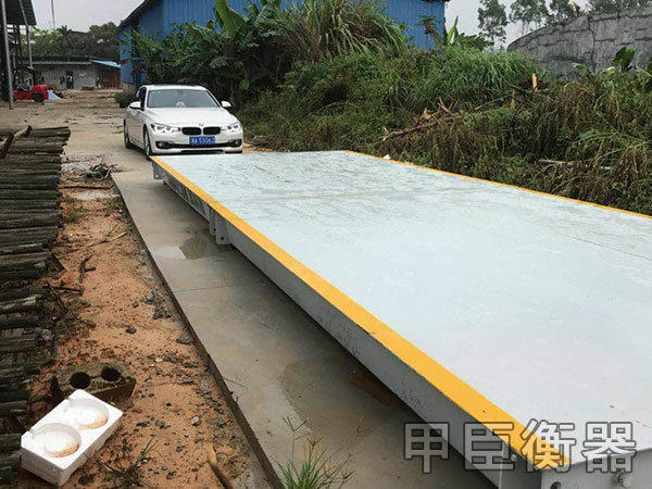 長沙甲臣衡器有限公司,長沙DS9儀表銷售,稱重傳感器銷售,畜牧秤哪里好