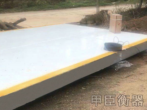 長沙甲臣衡器有限公司,長沙DS9儀表銷售,稱重傳感器銷售,畜牧秤哪里好