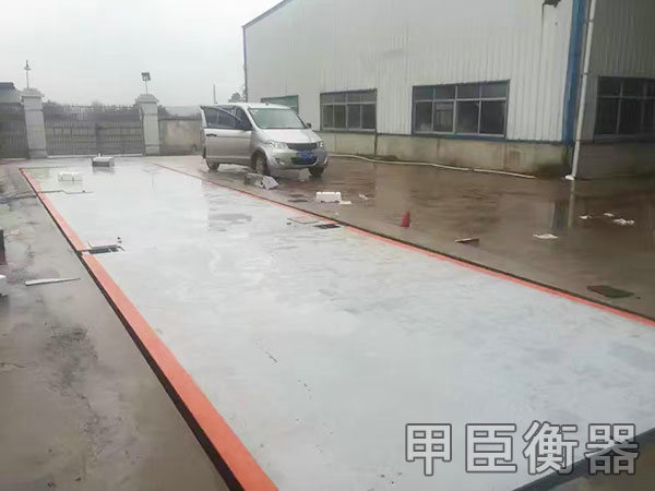 長沙甲臣衡器有限公司,長沙DS9儀表銷售,稱重傳感器銷售,畜牧秤哪里好