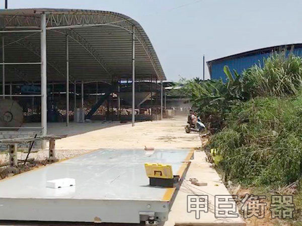 長沙甲臣衡器有限公司,長沙DS9儀表銷售,稱重傳感器銷售,畜牧秤哪里好