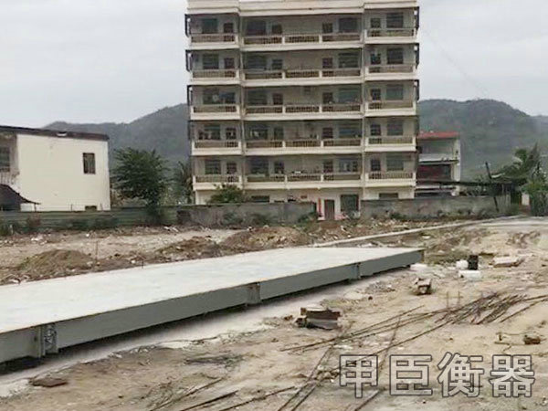 長沙甲臣衡器有限公司,長沙DS9儀表銷售,稱重傳感器銷售,畜牧秤哪里好