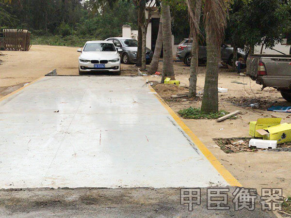 長沙甲臣衡器有限公司,長沙DS9儀表銷售,稱重傳感器銷售,畜牧秤哪里好