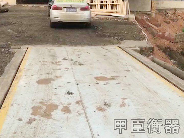 長沙甲臣衡器有限公司,長沙DS9儀表銷售,稱重傳感器銷售,畜牧秤哪里好