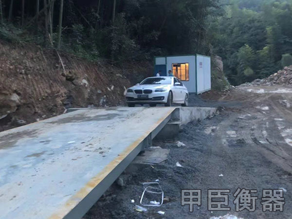 長沙甲臣衡器有限公司,長沙DS9儀表銷售,稱重傳感器銷售,畜牧秤哪里好