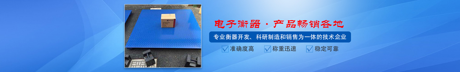 湖南甲臣衡器有限公司_長沙DS9儀表銷售|稱重傳感器銷售|畜牧秤哪里好